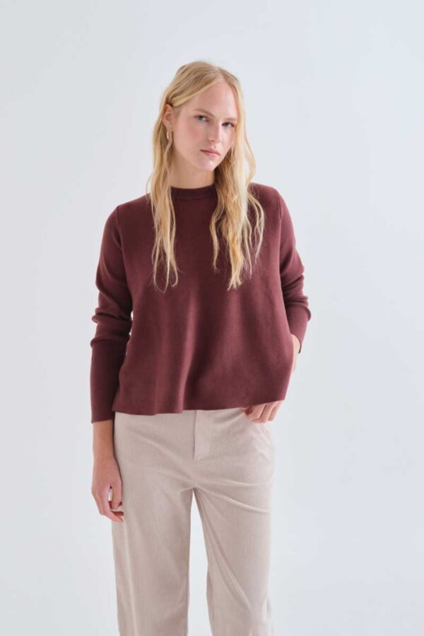 Jersey Brown